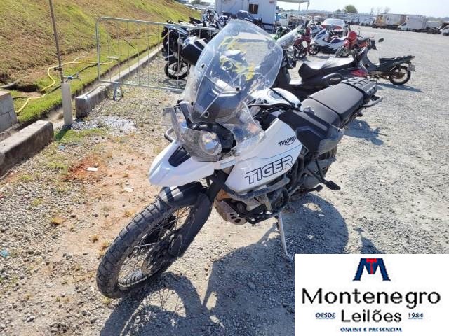 TIGER 800 XCX
